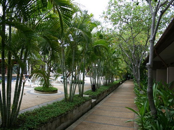 Thailand, Phuket, Phuket Kata Resort